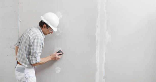 Best Mold Documentation for Insurance Claims  in East Camden, SC