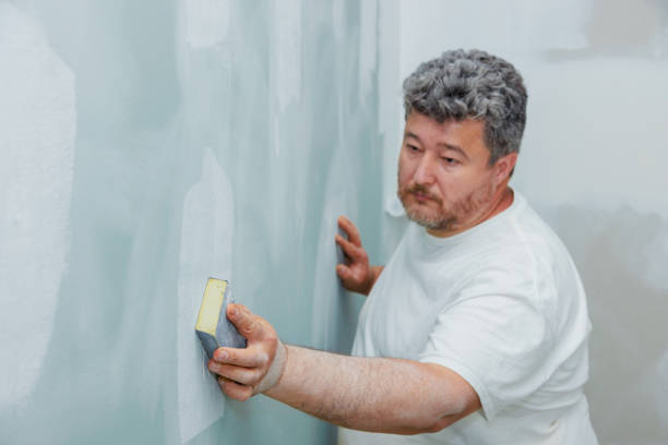 Best Post-Construction Mold Inspection  in East Camden, SC